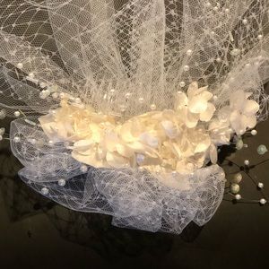 Birdcage Veil- New